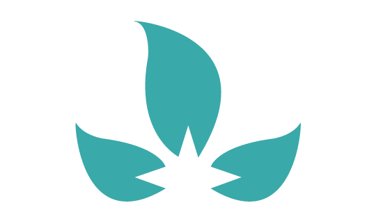 Plan de travail 16@4x Sandrine Genin naturopathe Lyon 9